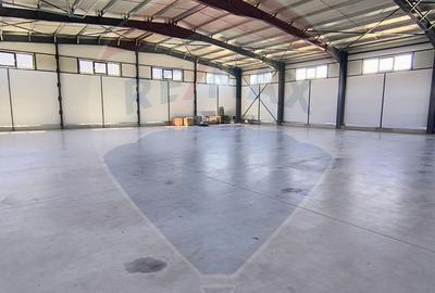 Spațiu industrial hala 597 Mp de inchiriat Ciorogarla - 3