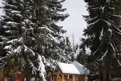 De Vanzare Cabana in   Poiana Negrii cu Clasificare la  Ministerul Turismului - 7