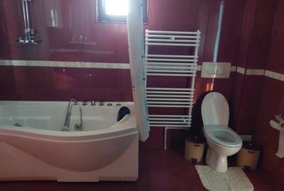 Vila lac Buftea - 9