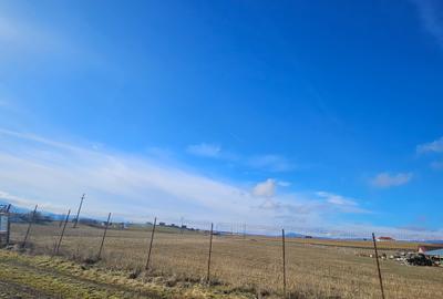 Teren intravilan - Halchiu, construire locuinte individuale - 1