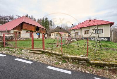 Casa  la munte cu teren generos in Com. Nucsoara, loc. Slatina jud. Arges! - 8