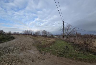 Teren intravilan,dublu front,Paleu,Oradea,Bihor - 2