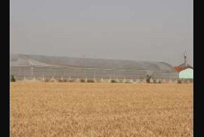 Spațiu industrial, 7300 mp în Uivar - 5