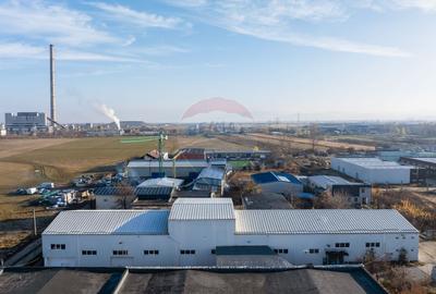 Hala industrială – investiție stabilă sau potențial operațional - 12