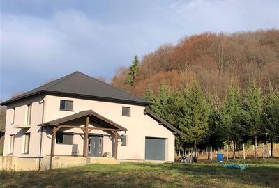 Casa moderna in mijlocul naturii cu lac, Cheisoara - 1