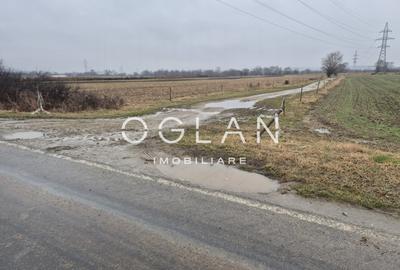 Teren extravilan 11.300 mp, front 39 m, Selimbar - 5