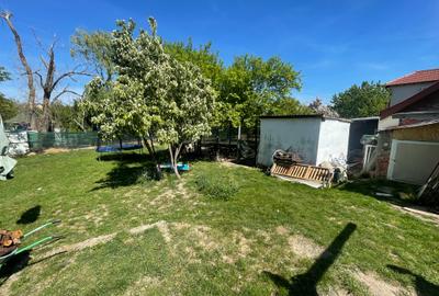 Teren constructii (Intravilan) 710 mp - P+2 (Ciarda Rosie) 225€/mp - 9