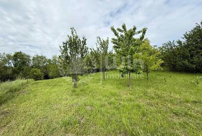 Teren intravilan cu casa renovabila | 2500mp teren | Front 21m | Aiton - 6