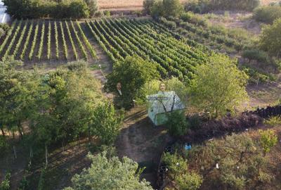 Teren intravilan Tecuci/Podgorie si Pomi Fructiferi/5000 mp - 11