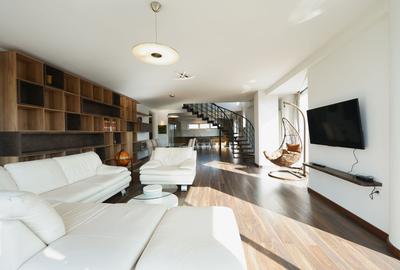Panoramic View to Herastrau Lake, 5 rooms apartment - 4