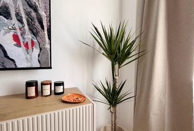 Apartament cu 2 camere decomandat, mobilat în Central