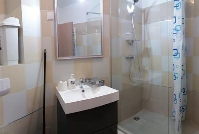 Apartament cu o cameră - 9