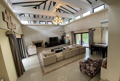 Vila superba - 7 camere - vanzare - Iancu Nicolae - Padurea Baneasa - 4