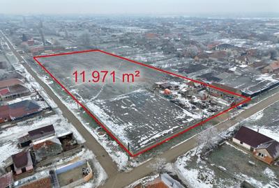 Teren intravilan de vânzare 11.971 mp, Șimand, jud. Arad - 1