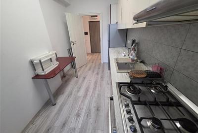 Apartament 2 camere spre inchiriere cu terasa Chitila Bucurestii Noi - 19