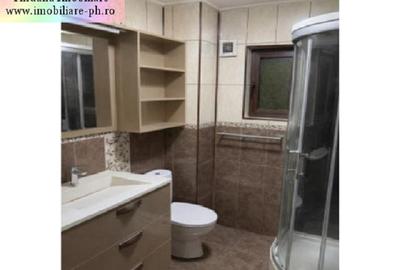 Casa de vanzare:Malu Rosu(compusa din 2 imobile separate in aceasi curte) - 6