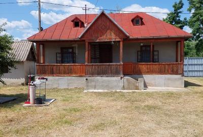Vand casa cu livada in satul Ionesti Arges - 2