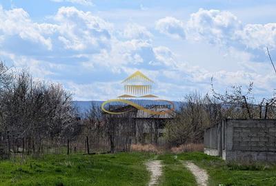 TEREN INTRAVILAN, SERBANESTI - 2
