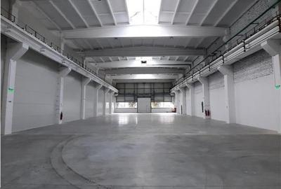Spatiu Industrial - 1300 mp - Productie - Depozitare - Distributie - 12
