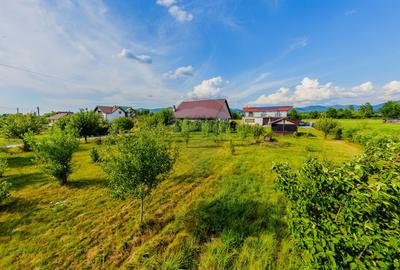 Teren intravilan de Vanzare in Bozanta Mare | Strada principala | - 4