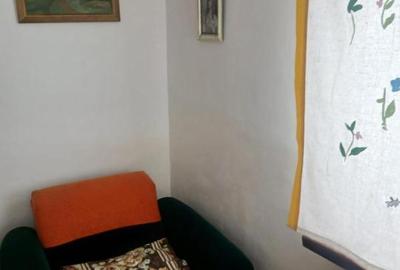 Grasoniera Podul Grand la curte la 350 euro - 7
