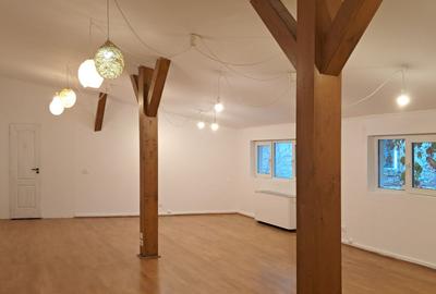 SPATIU DISTINCTIV IN VILA ISTORICA - 9