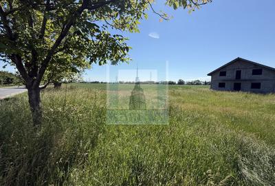 Teren intravilan 50000 mp, cu PUZ, Aprobat - zona Halchiu/Codlea - 19