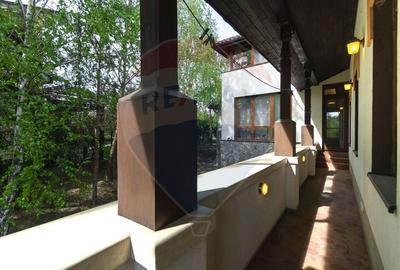 Arhitectura din Piatra si Lemn pe Malul Lacului Mogosoaia - 21