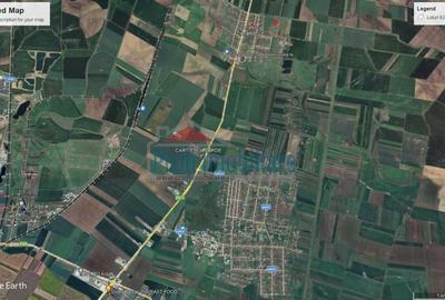 Vindem locuri de casa 540 sau 640mp in Zimand Cuz 7 km de Arad - 14