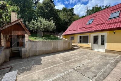Vila deosebita de 534 mp, 1800 mp, terasa, Codlea - 5