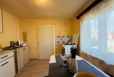 Casa individuala 2 camere, 933mp teren in Utvin - 11