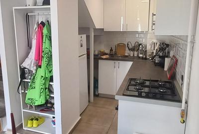 Apartament 2 camere Calea Calarasilor cu gradina - 13