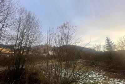 TEREN INTRAVILAN 2,26 HA | SUCEVITA | - 13