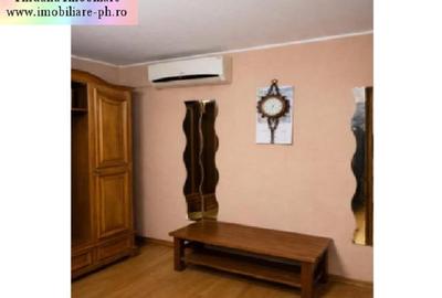 Casa de vanzare:Malu Rosu(compusa din 2 imobile separate in aceasi curte) - 11