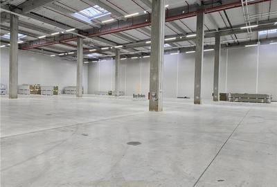 Spatiu Industrial - 2500 mp - Logistica - Productie - Depozitare - Distributie - 4