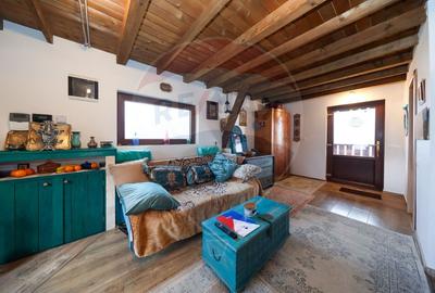 Ansamblu rezidențial cu casă principală și anexe, teren 1.487 mp - 6