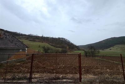 CASA CU TEREN 2846 MP | COMUNA ASTILEU | SAT CALATEA - 24