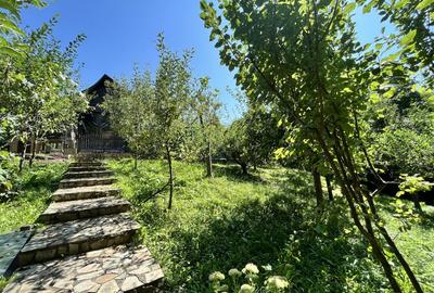 Conacul Mura in Baile Olanesti, O Bijuterie Naturala - 14