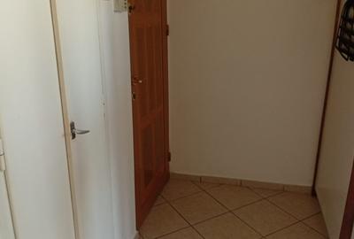 De inchiriat apartament cu 2 camere Podgoria - 13