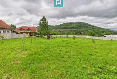 Casă în localitatea Gurahonț - Arad, teren 2914 mp - 17