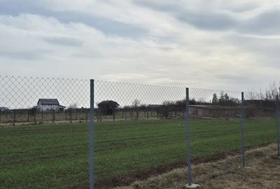 Caciulati, vanzare casa 3 camere la rosu, 400mp. teren - 12
