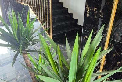 Apartament 2 camere finalizat  sector 3  lift incalzire in pardoseala - 6