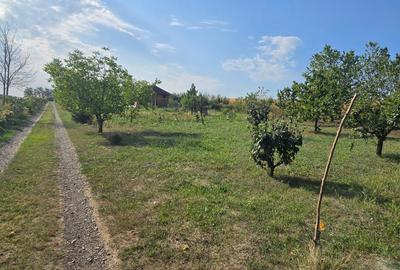 Teren cu cabanuta de lemn in Zaicesti - 10