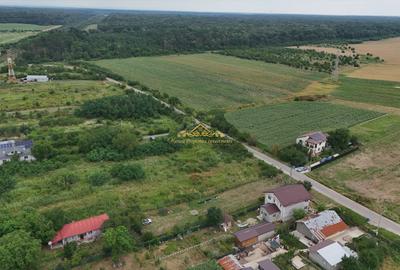 Teren intravilan Peris 10.000 mp pt complex de case - 7
