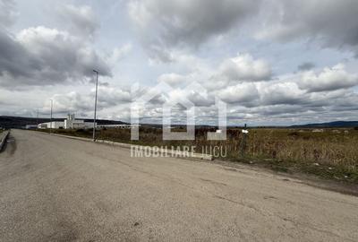 Teren Intravilan Industrial – 10.714 mp – Parc Tetarom, Răscruci - 1