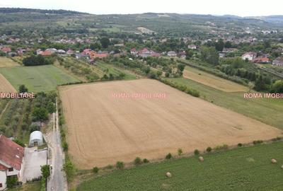 TEREN INTRAVILAN DE VÂNZARE – ȘOMCUTA MARE, MARAMUREȘ - 7