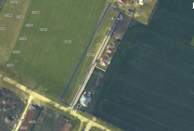 Teren Magurele 2403 mp Str Stejarului New 2025 - 1