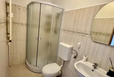 Apartament tip studio la mansarda, zona Garii - 6