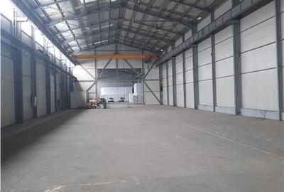 Spatiu Industrial - 700 mp - Logistica - Depozitare - Distributie - 5