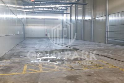 Spatiu Industrial-Hala-Zona Autostrazii-Birouri/Curte Betonata/Rampa - 5